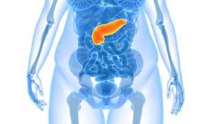 Стеатоз поджелудочной железы и печени