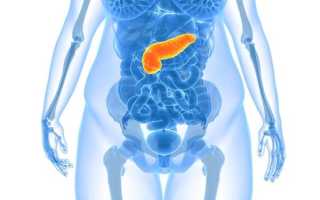 Стеатоз поджелудочной железы и печени