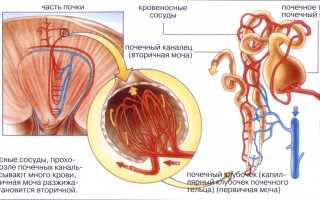 Несахарный диабет