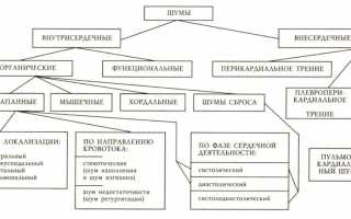 Почему возникают шумы в сердце у взрослого, опасно ли состояние?