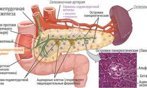 Признаки воспаления поджелудочной железы