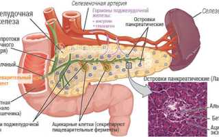 Признаки воспаления поджелудочной железы