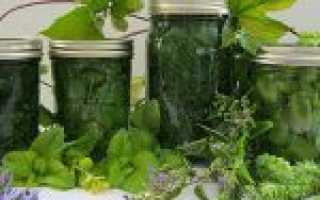 Реально ли помогает прополис при варикозе