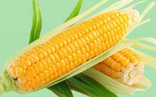 Можно ли есть кукурузу при панкреатите?