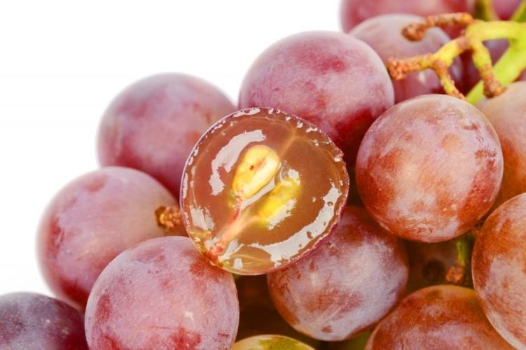 Ягоды с косточками