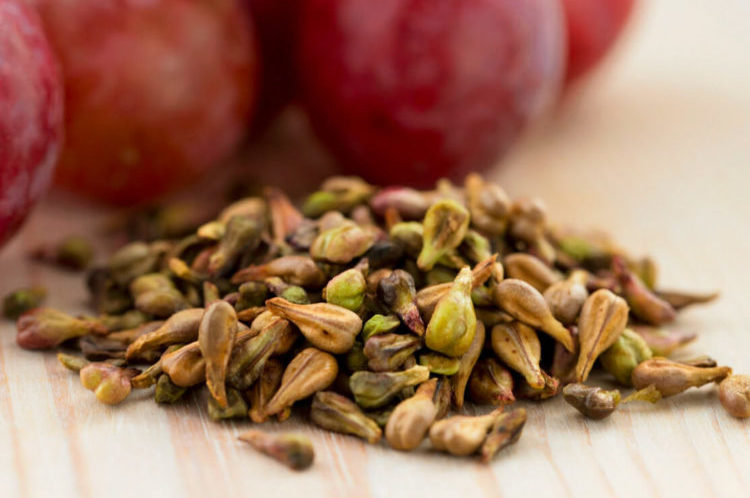 Косточки винограда