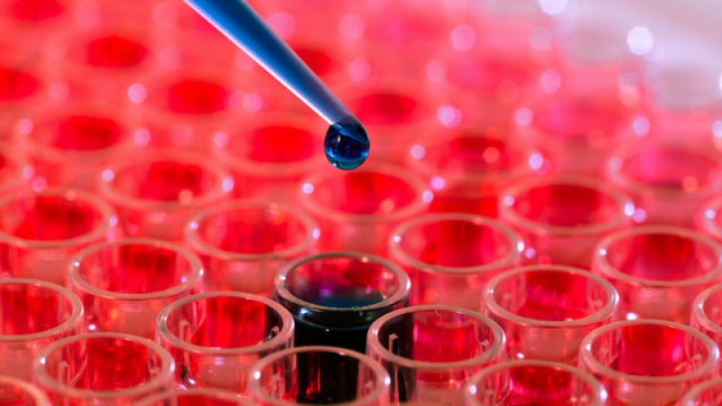 Анализ крови