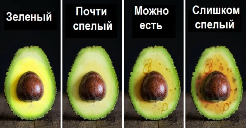 Стадии спелости авокадо