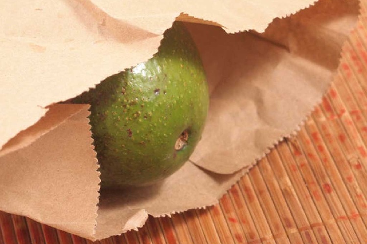 Ускорение созревания