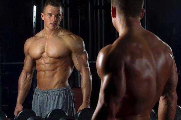 Бодибилдинг