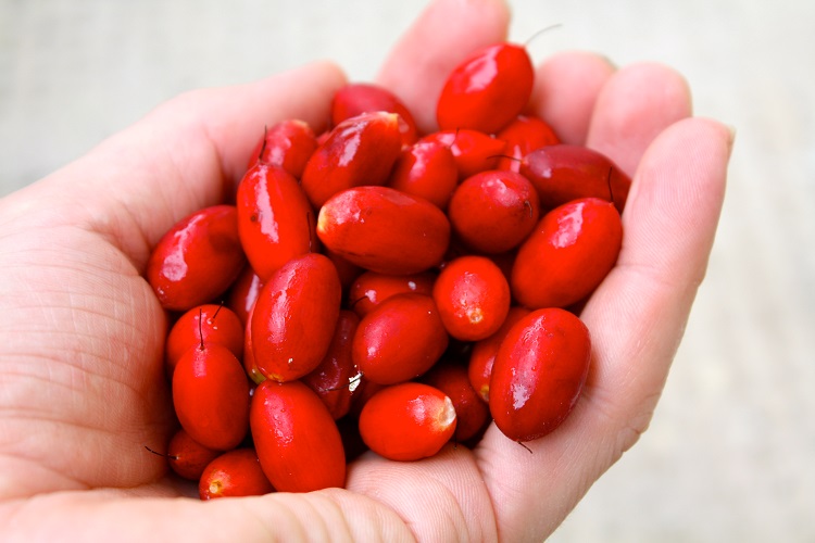 Магический фрукт