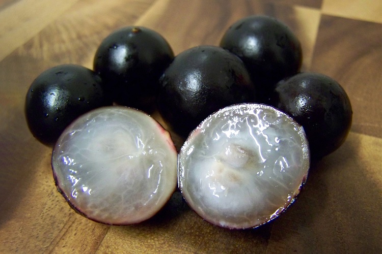 Жаботикаба