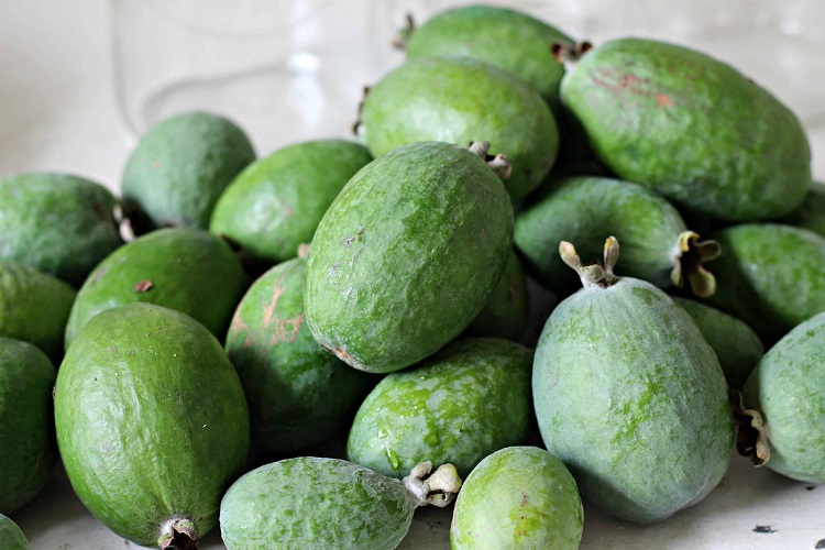 Ягоды фейхоа