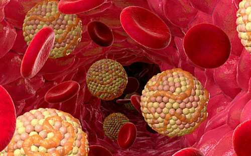 Холестерин в крови