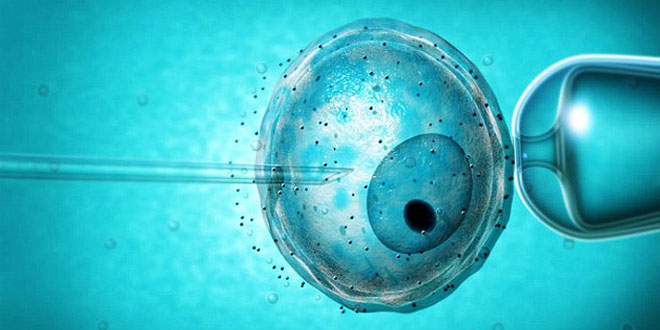 Искусственное оплодотворение