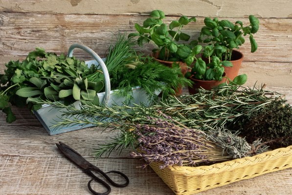 Лечебные травы