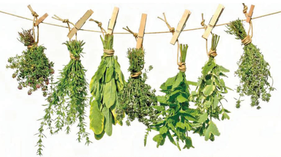 Лечебные травы