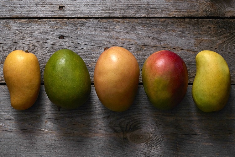 Разные сорта