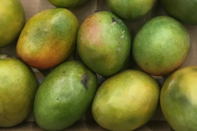 Испорченная партия