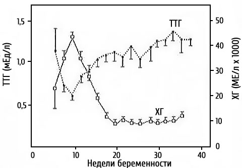 Нормы ТТГ по неделям беременности
