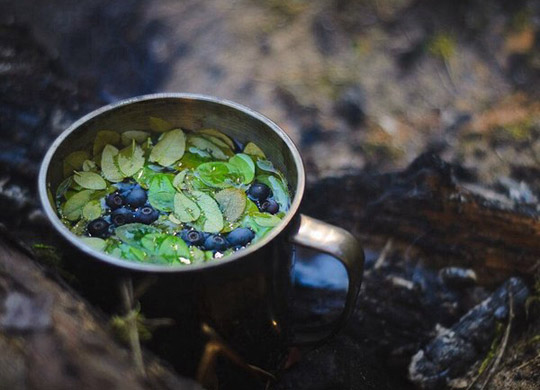 Отвар из листьев черники