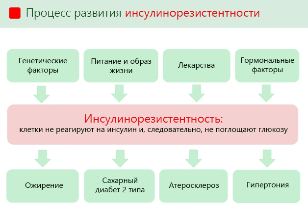 Процесс развития инсулинорезистентности